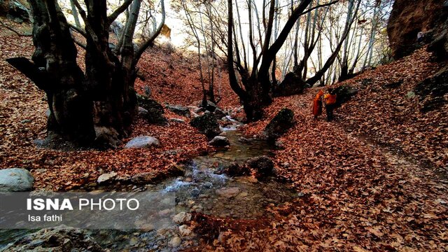 ایران زیباست؛ پاییز «تنگ گنجه ای»