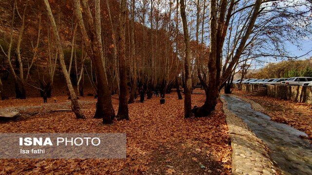 ایران زیباست؛ پاییز «تنگ گنجه ای»