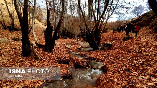 ایران زیباست؛ پاییز «تنگ گنجه ای»
