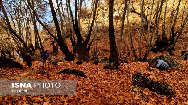 ایران زیباست؛ پاییز «تنگ گنجه ای»