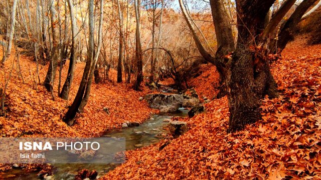ایران زیباست؛ پاییز «تنگ گنجه ای»