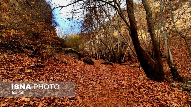 ایران زیباست؛ پاییز «تنگ گنجه ای»