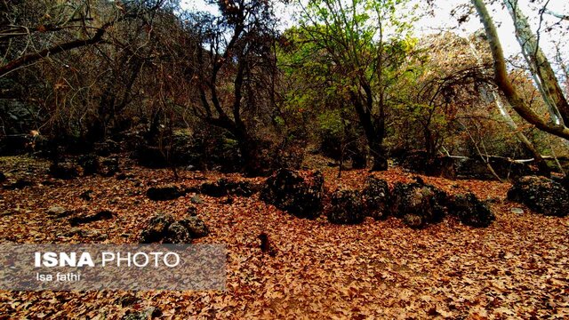 ایران زیباست؛ پاییز «تنگ گنجه ای»