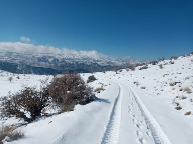 قطع ارتباط ۲۰ روزه ۴ روستای کهگیلویه و بویراحمد با دنیا !