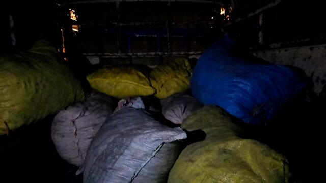 قاچاق چوب و زغال جنگلهای بلوط بویراحمد با خودروهای یخچال دار