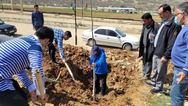 ۳۵۰ اصله درخت مثمر در پردیس دانشگاه آزاد اسلامی واحد یاسوج کاشته شد