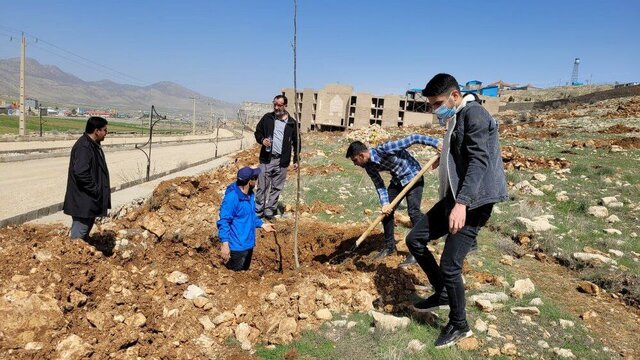 ۳۵۰ اصله درخت مثمر در پردیس دانشگاه آزاد اسلامی واحد یاسوج کاشته شد