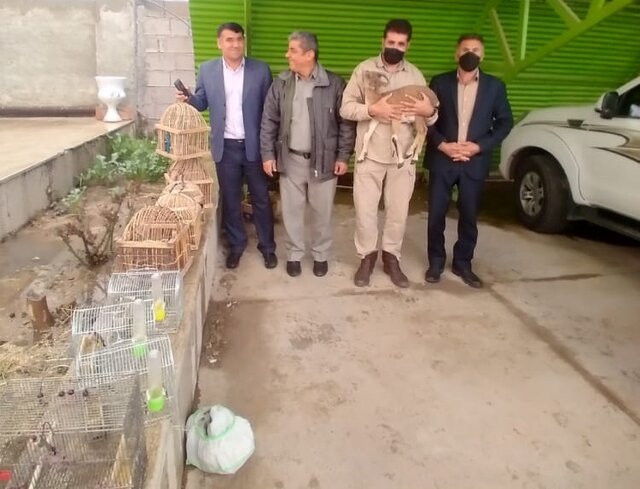 کشف بزغاله وحشی زنده به همراه ۱۶ قطعه پرنده در کهگیلویه و بویراحمد کشف بزغاله وحشی زنده به همراه ۱۶ قطعه پرنده در کهگیلویه و بویراحمد