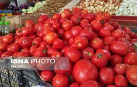 تفاوت عجیب قیمت گوجه فرنگی در یاسوج