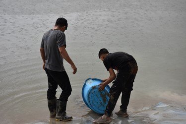 توضیحات محیط زیست کهگیلویه و بویراحمد در خصوص مرگ هزاران ماهی در یاسوج