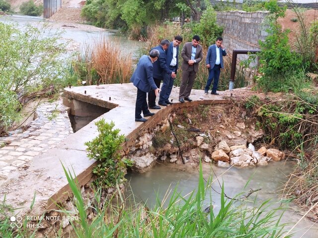 توضیحات محیط زیست کهگیلویه و بویراحمد در خصوص مرگ هزاران ماهی در یاسوج