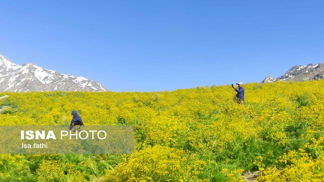 منطقه زیبای دریاچه "کوه گل" سی سخت 