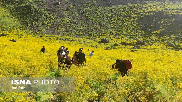 منطقه زیبای دریاچه "کوه گل" سی سخت 