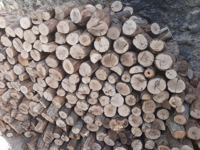 عکس تزئینی است قاچاقچیان چوبهای درختان جنگلهای بلوط یاسوج در شیراز به دام افتادند