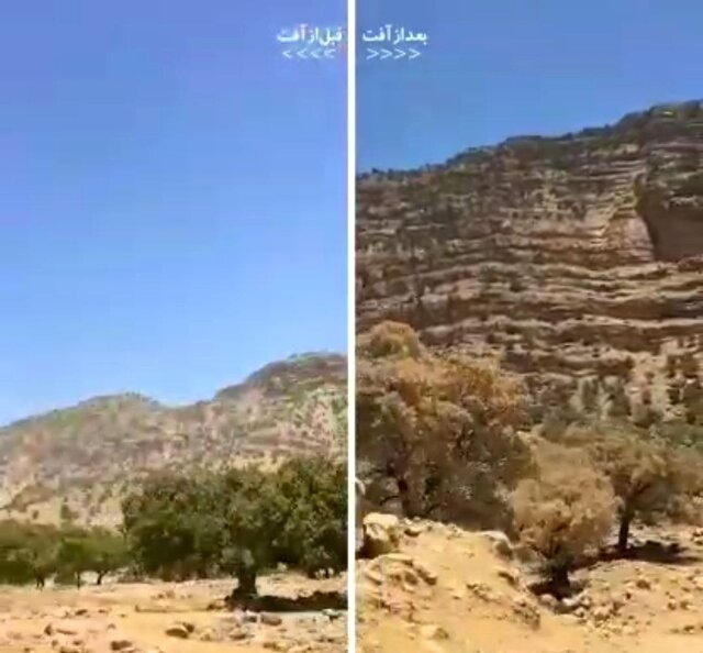 مرگ ایستاده جنگلهای بلوط کهگیلویه و بویراحمد و زاگرس در سایه بی اعتباری