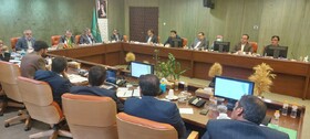 تشکیل کارگروه ملی، عملیات مبارزه با دو آفت بلوط را موثرتر می‌کند