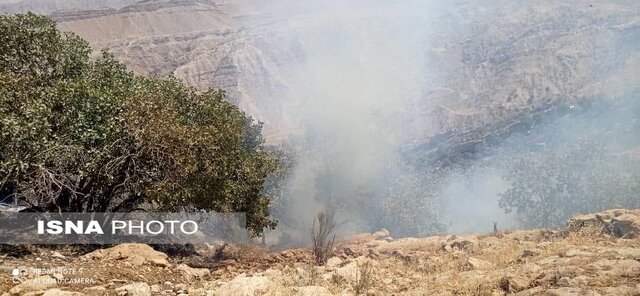 آخرین وضعیت آتش سوزی منطقه حفاظت شده خائیز + تصاویر