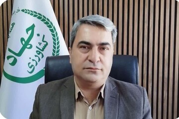 توزیع ۴۵۳ هزار کیسه کود شیمیایی در کهگیلویه و بویراحمد طی سال زراعی جاری
