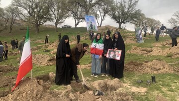 کاشت ۵۰۰۰ اصله نهال در کهگیلویه و بویراحمد