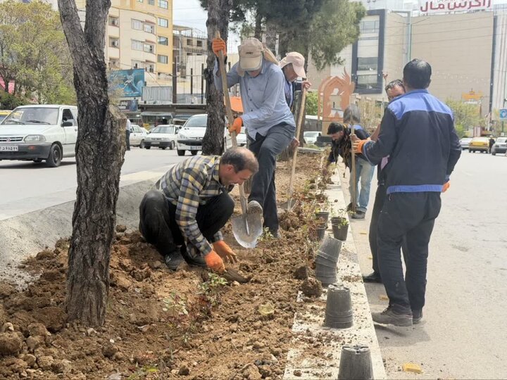 شهردار: یاسوج نیازمند توسعه فضای سبز است