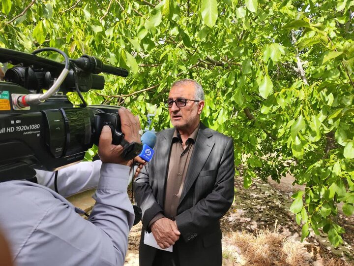 استاندار کهگیلویه و بویراحمد: ۳۲ پروژه عمرانی در شهرستان چرام فعال است