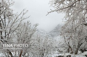 برف دیگری در راه یزد 
