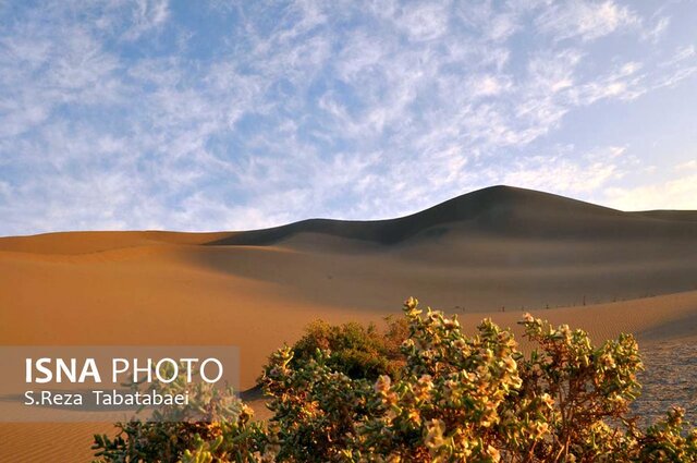 جاذبه بکر و دیدنی ریگ زرین در اردکان 