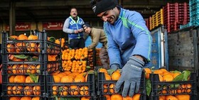 گلایه رئیس اتحادیه میوه و تره بار یزد از رسانه ملی