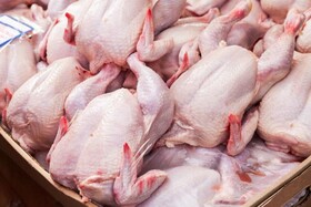 قطعه‌سازی گوشت مرغ در مراکز عرضه یزد ممنوع شد