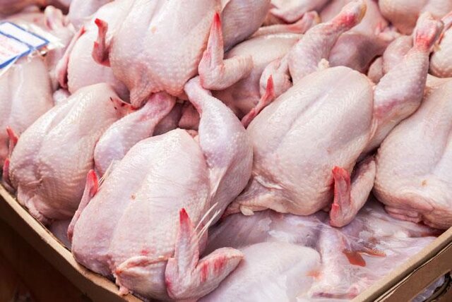 قطعه‌سازی گوشت مرغ در مراکز عرضه یزد ممنوع شد - ایسنا