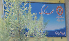 کرونا مهدهای کودک یزد را تعطیل نکرد