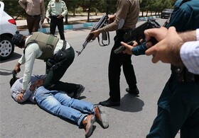 دستگیری سارقان محصولات کشاورزی در اردکان