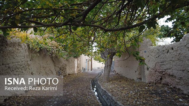 نقاشی خدا در کوچه باغ‌های انار عقدا