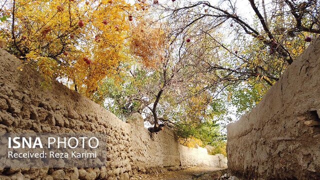 نقاشی خدا در کوچه باغ‌های انار عقدا