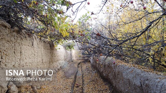 نقاشی خدا در کوچه باغ‌های انار عقدا