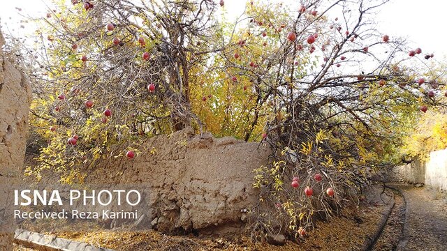 نقاشی خدا در کوچه باغ‌های انار عقدا