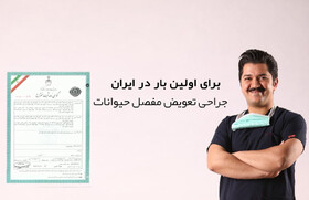 جراحی تعویض مفصل حیوانات برای اولین بار در ایران