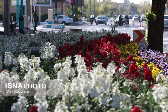 گلکاری بهارانه شهر میراث جهانی یزد 