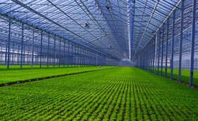 یزد، استان پیشرو در توسعه شهرک‌های کشاورزی