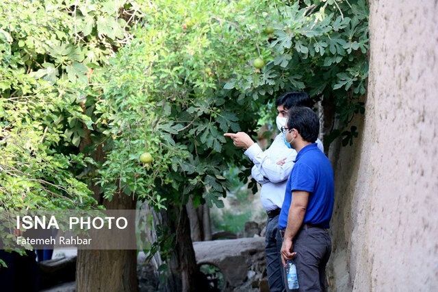 بازدید فعالان محیط زیست از باغ محلات یزد به مناسبت هفته محیط زیست