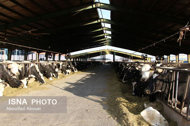 سفر وزیر جهاد کشاورزی به مهریز