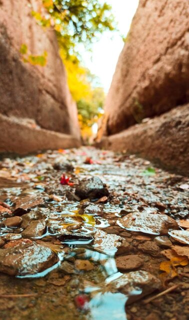 معرفی برگزیدگان اولین جشنواره عکس «انارستان عقدا»