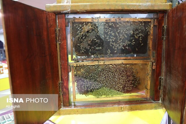 نمایشگاه دستاوردهای انقلاب اسلامی در یزد از دریچه دوربین