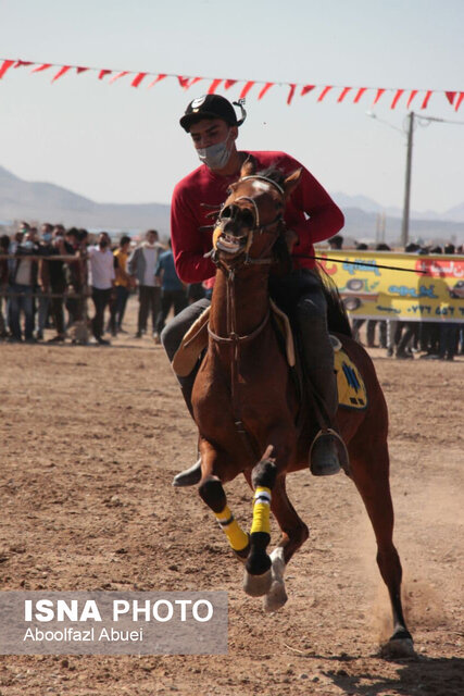رقابت ۷۰ سوارکار در شو سوارهی مهریز