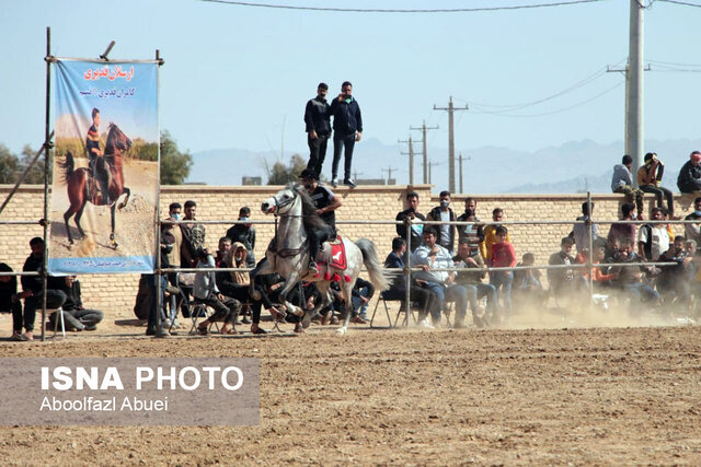 رقابت ۷۰ سوارکار در شو سوارهی مهریز