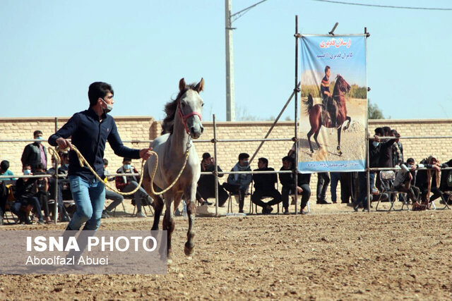 رقابت ۷۰ سوارکار در شو سوارهی مهریز