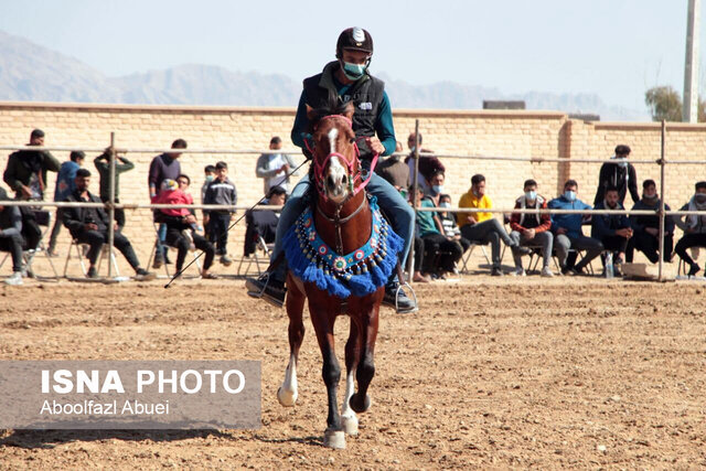رقابت ۷۰ سوارکار در شو سوارهی مهریز