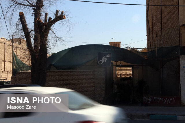 گردن زدن درختان در یزد