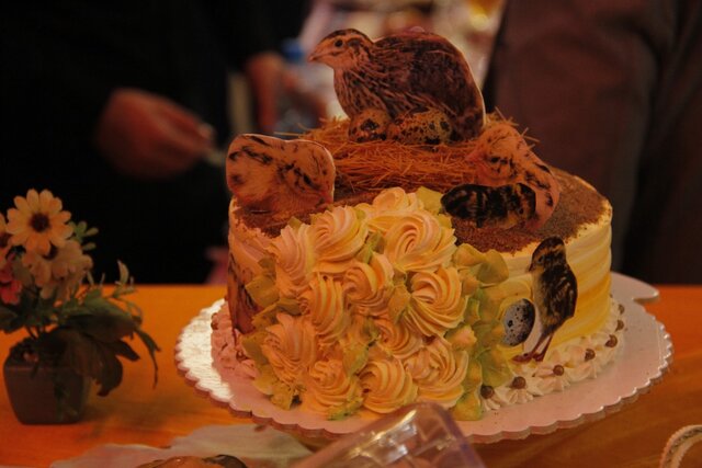 برگزاری جشنواره غذایی با طعم بلدرچین در میبد