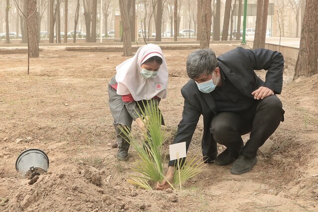 جشن درخت دوستی در یزد برگزار شد